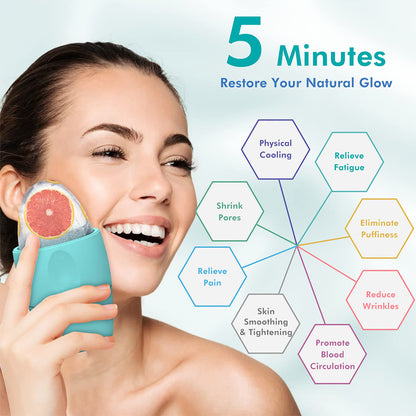 Monsera silicone ice roller mould for face icing